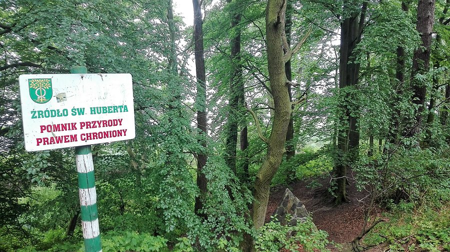 Źródło Św. Huberta