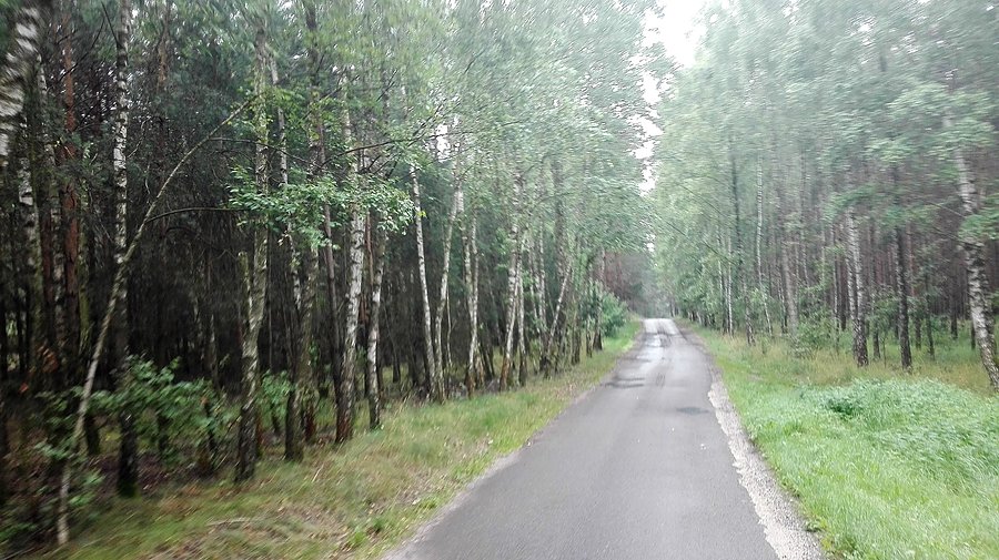 Wąska szosa z Wiktorowa do Ostrówce