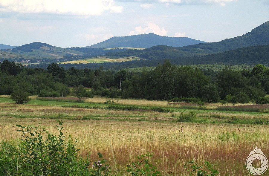 MPN ze skrzyżowania (jakzwykle)