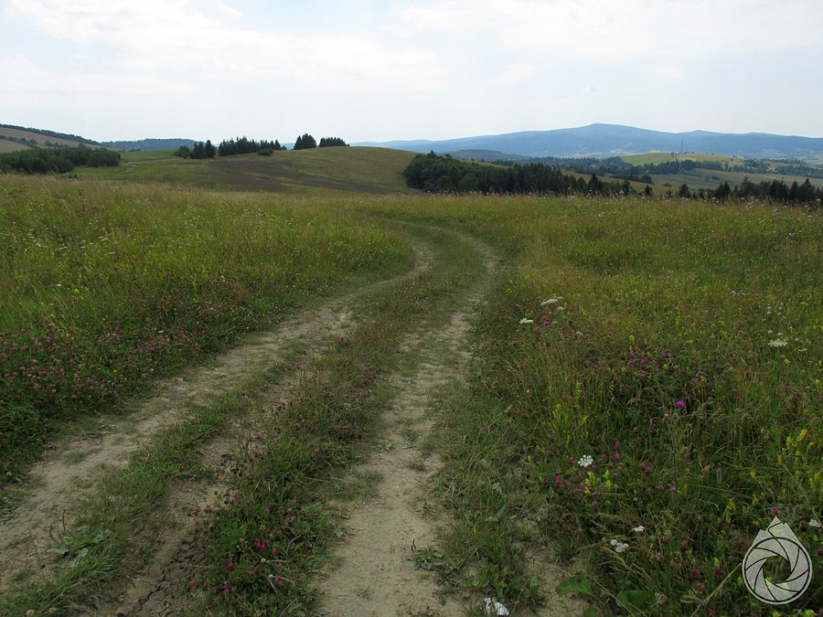 Nad Przełęczą Szklarską i widok w stronę Bieszczadów