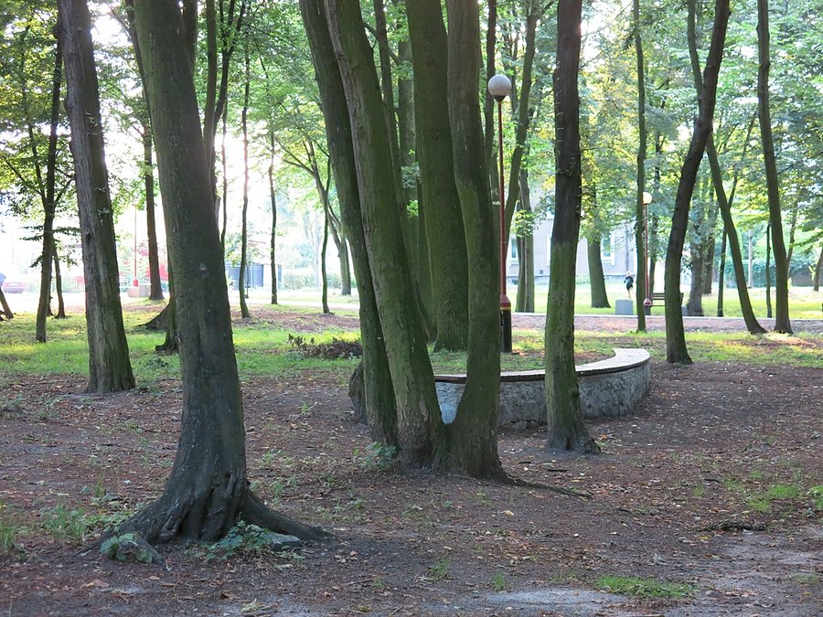 W Parku Michałówek