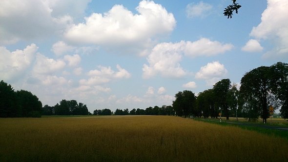 Płaskie tereny
