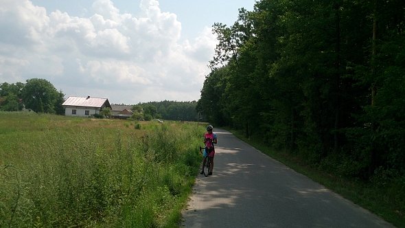 Lokalne drogi
