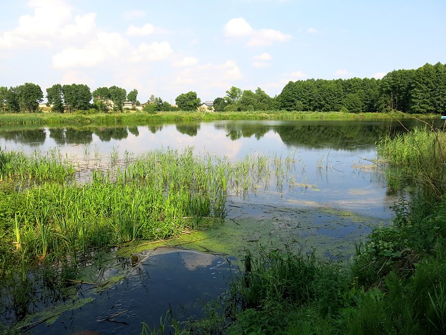 Jeden ze stawów w Sangrodzu