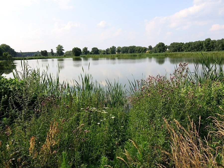 Kolejny staw sangrodzki