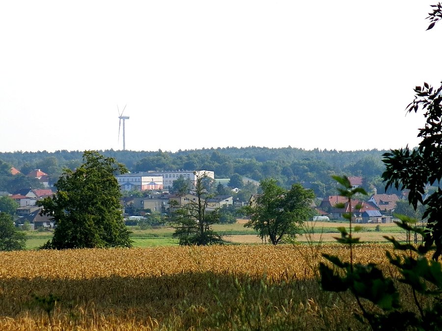 Pałacowa dzielnica Wolborza