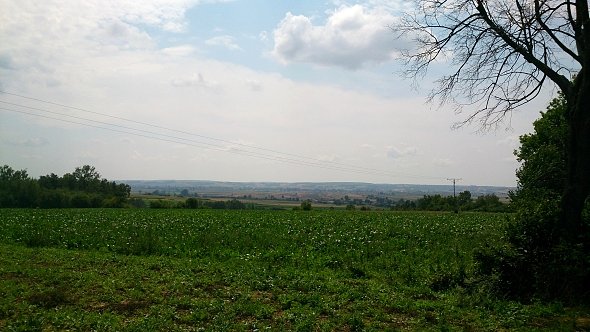 Widoki na pola koło Turobina