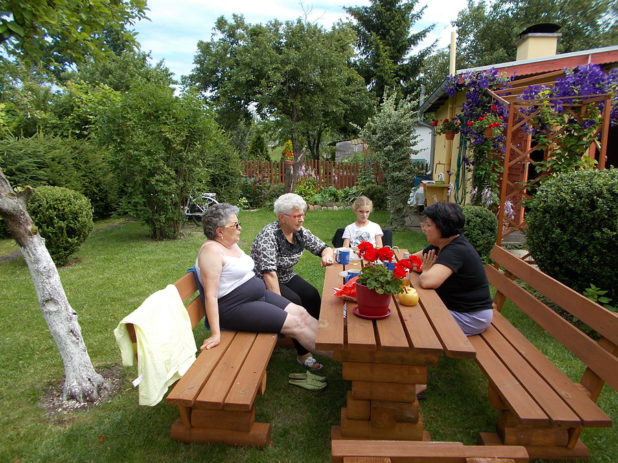 Działkowy babiniec