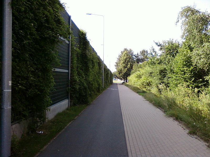 Ekran przeciwhalasowy z roślinnością