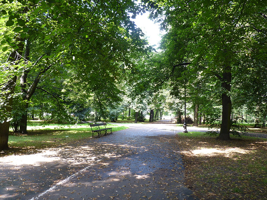 Idzie jesień
