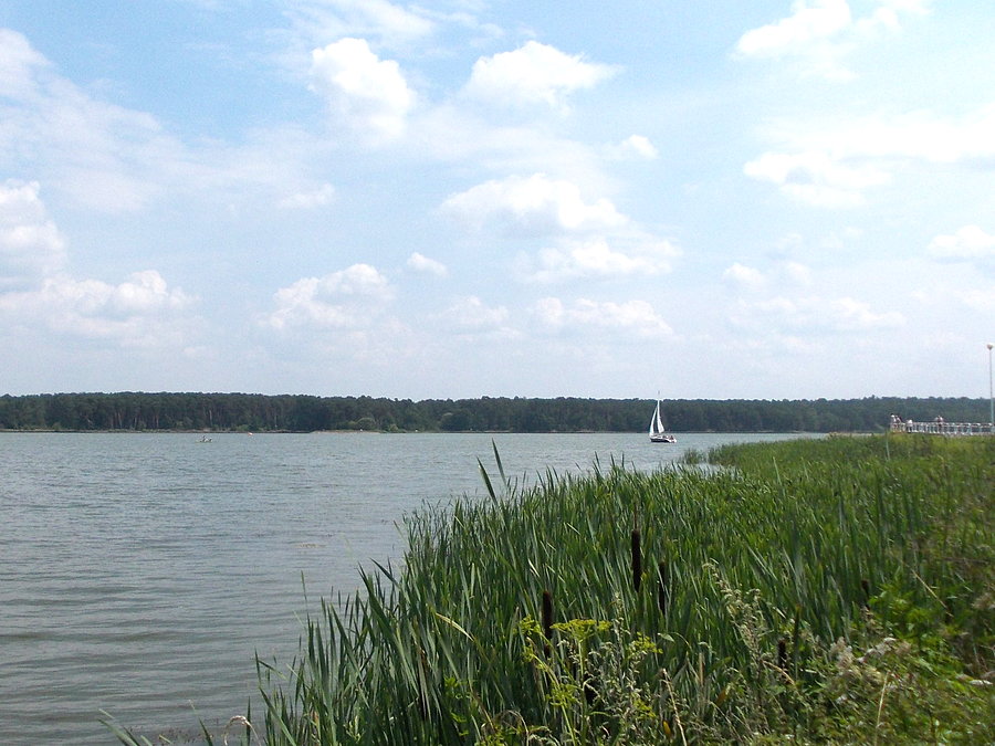 Lubelskie morze