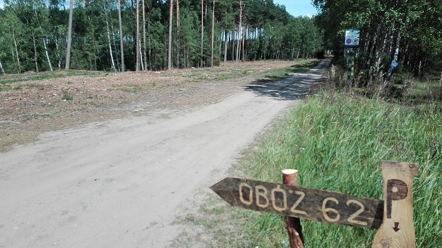 Harcerze wszędzie
