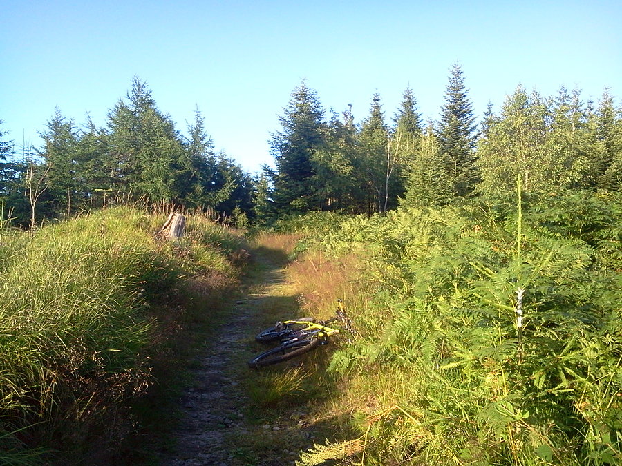Połomka