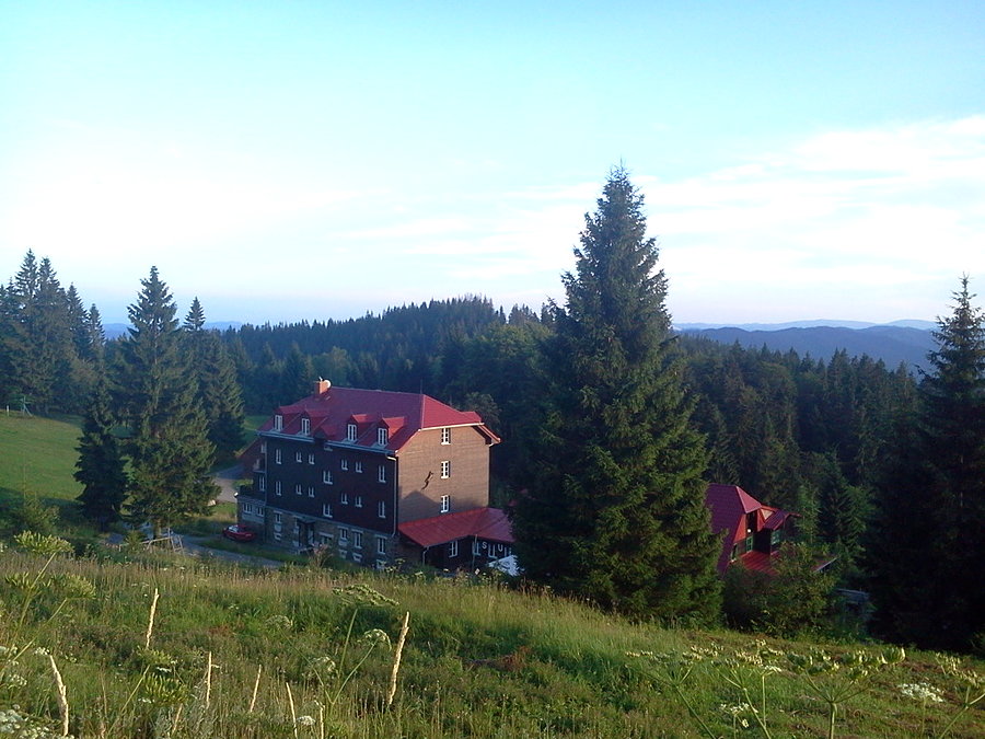 Sulov