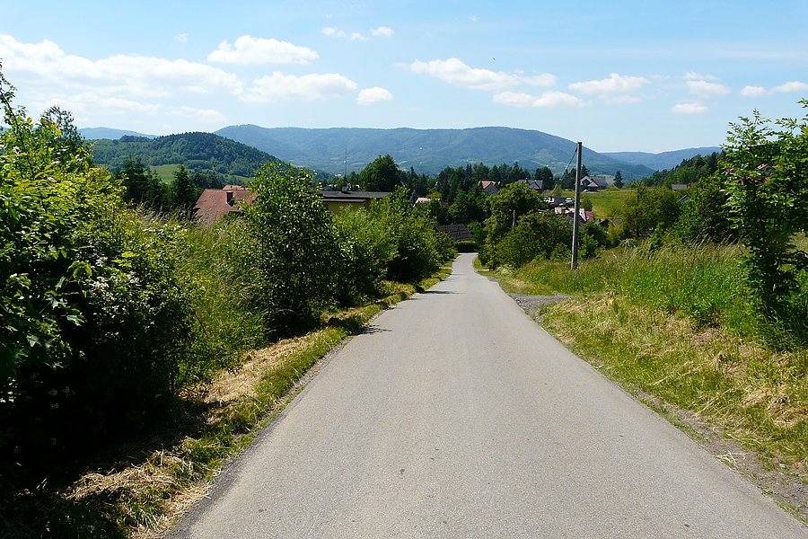 Zagórnik
