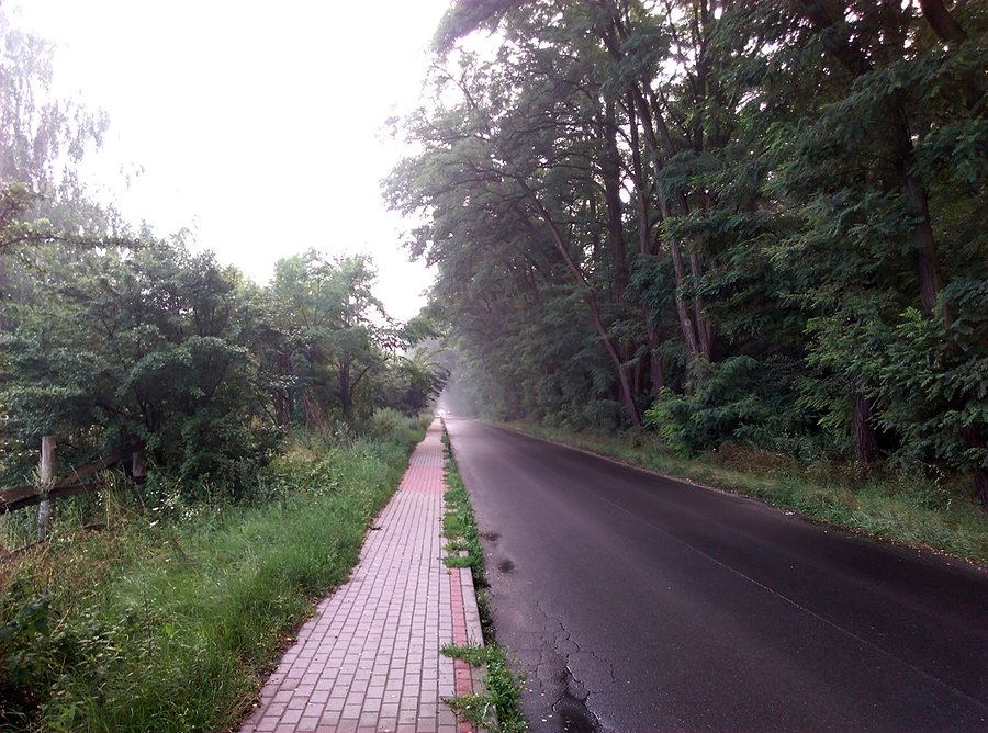Podczas wieczornego spaceru