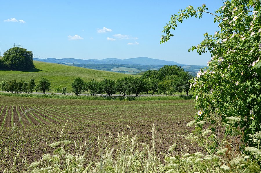 Valassko