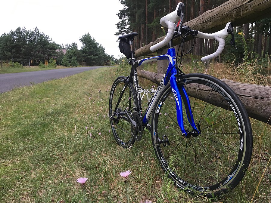 Pinarello F4:13