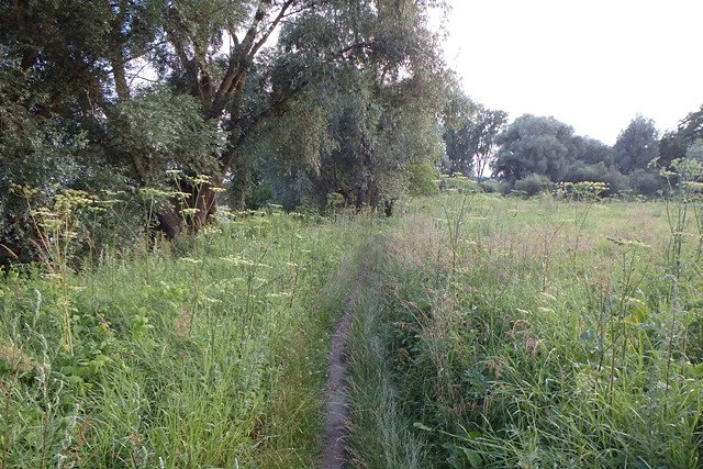 Niezbyt zachęcający odcinek trasy dla mojego EKSPEDYSZYNA