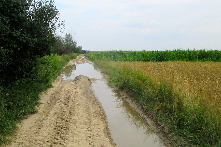 Podlubelskie wertepy