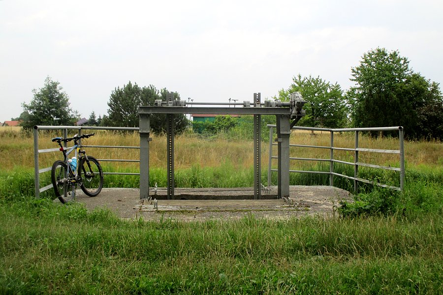 Nad kanałem Wieprz-Krzna