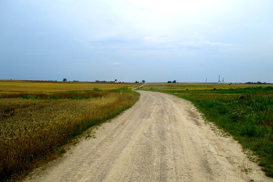 Podlubelskie wertepy