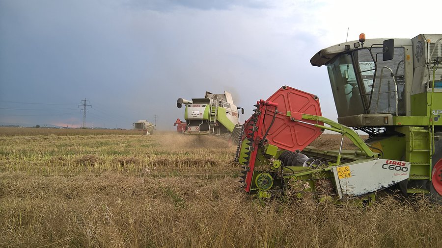 2x claas