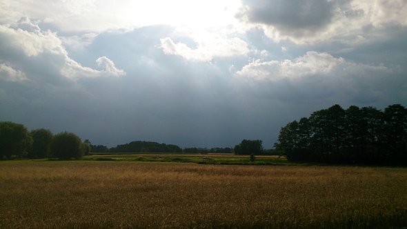 Ciemne chmury nad polami