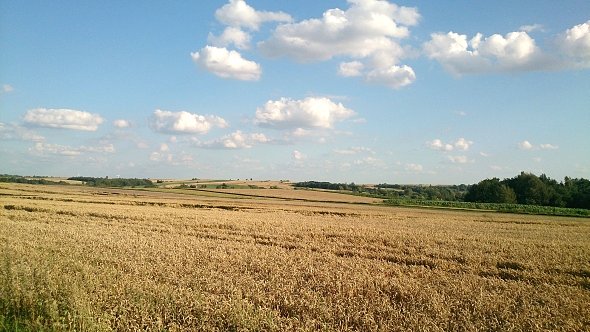 Pola koło Kajetanówki