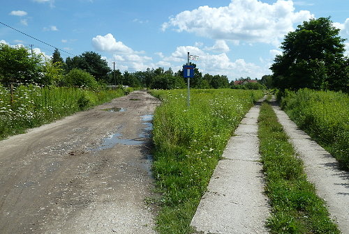 Wybór