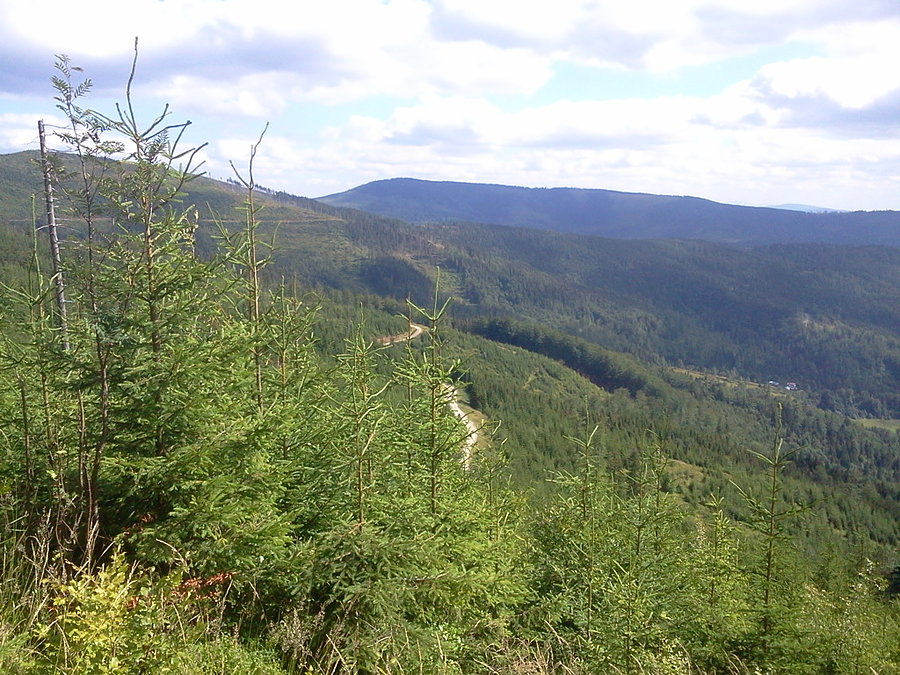 Widoczki