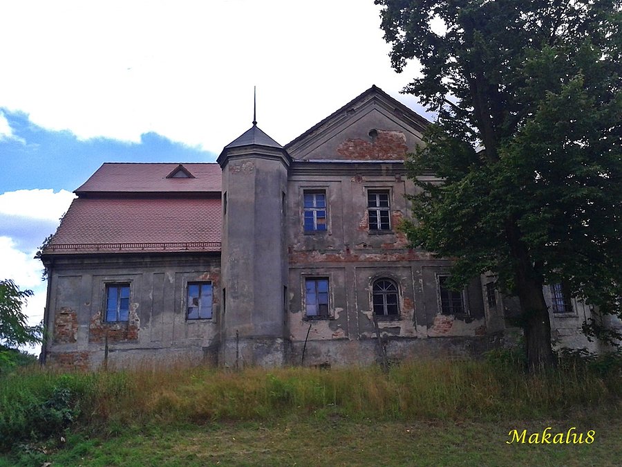 Palowice
