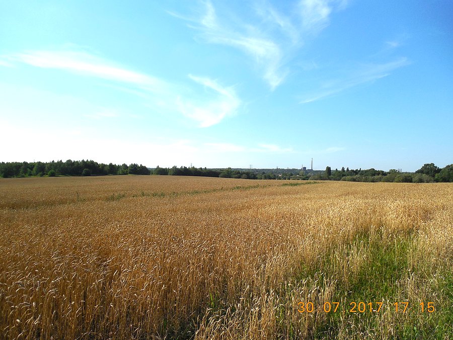 Rozległa panorama w stronę Biskupic