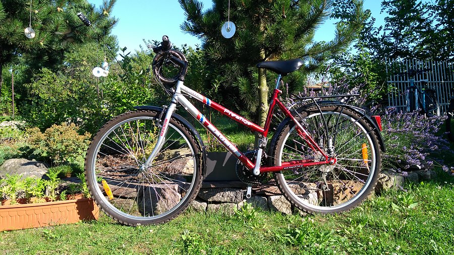 Magnum Prestige