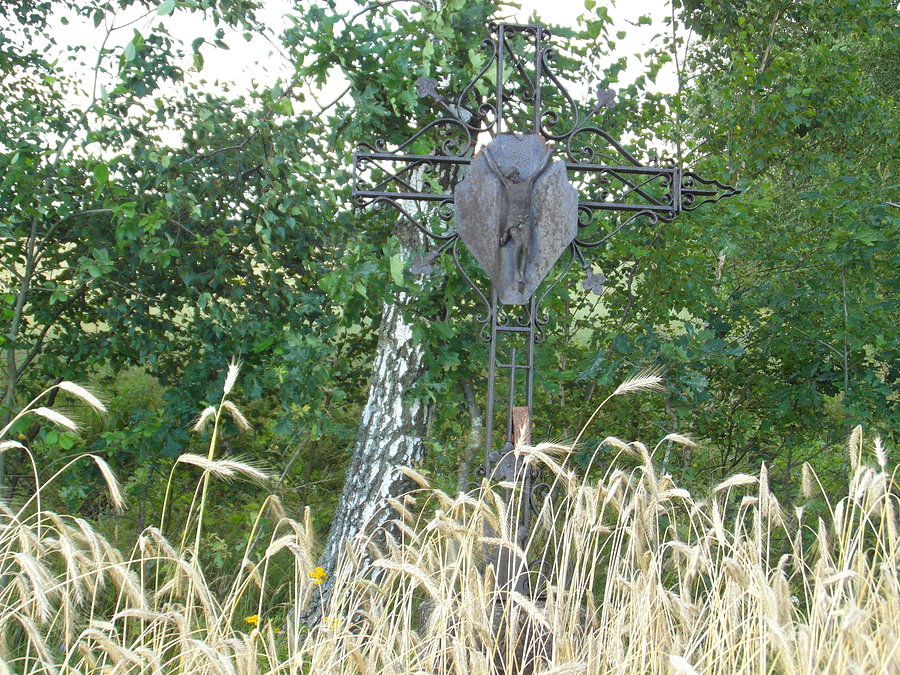 Przez pola... Warmia