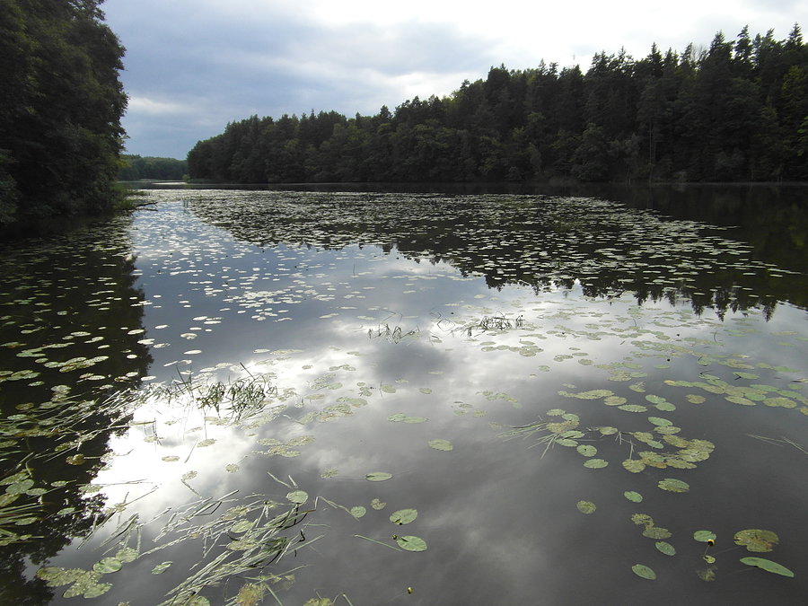 Jezioro Pierzchalskie