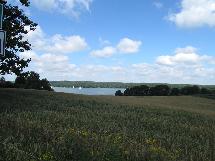 Widok na jezioro Ryńskie