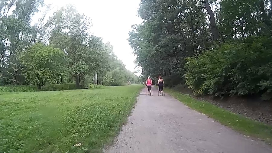 Lasek Makoszowski, coś jest nie tak z chmurami... jest ich za dużo