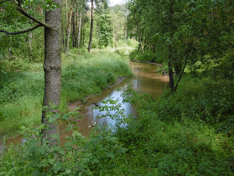 Rzeka Okrzejka