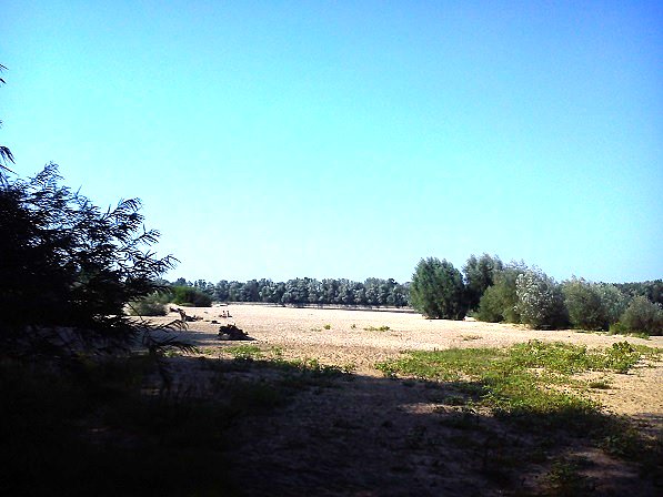 Po minięciu łęgów oczom ukazała się bardzo fajna plaża