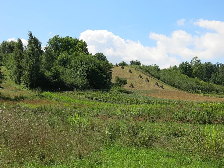 Piękne widoki przede mną