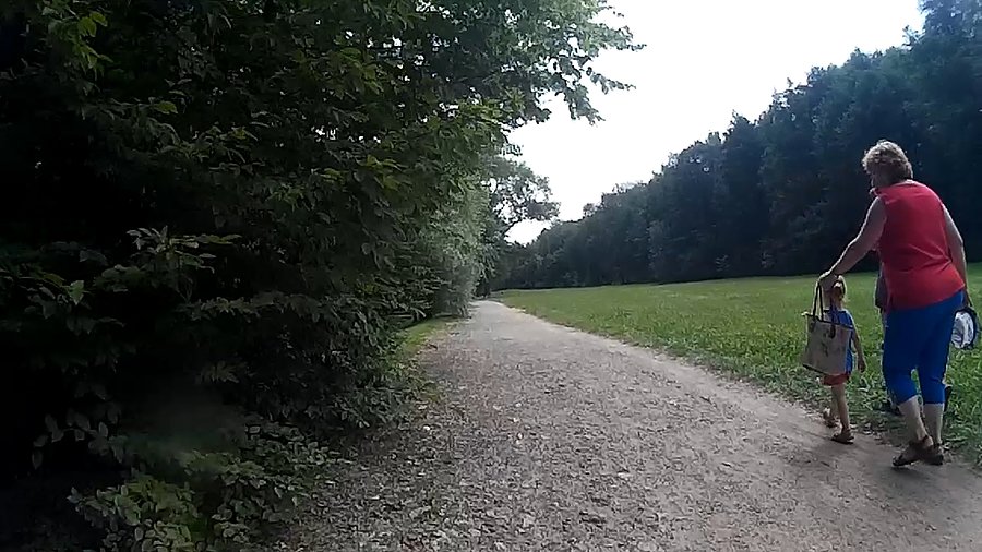 W okolicach południa w lasku Makoszowskim
