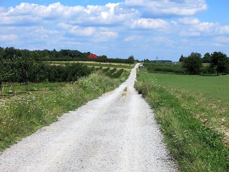 Szutrówka w Krainie wąwozów