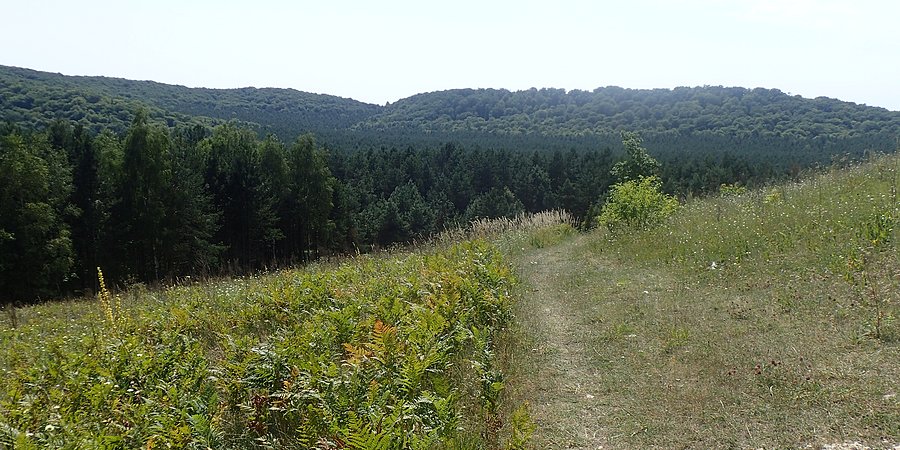 Widok na Sokole Góry