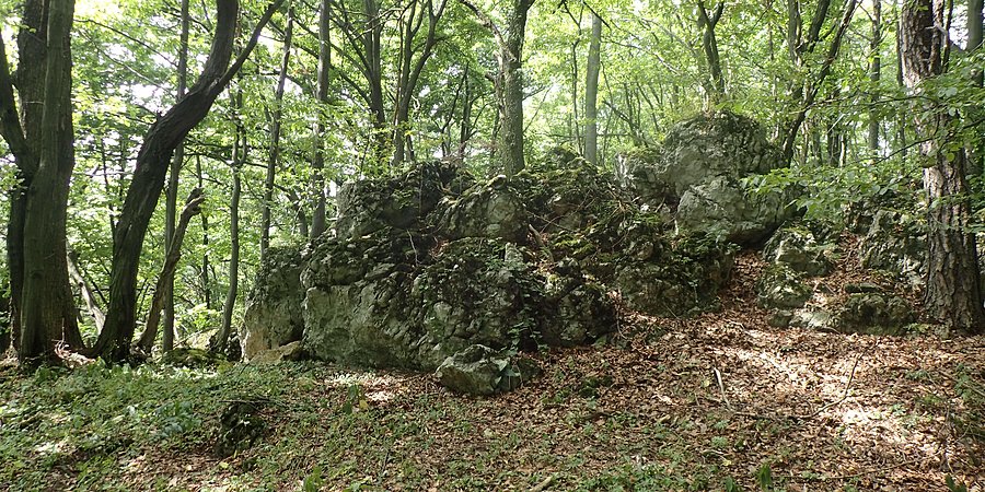 W Górach Sokolich