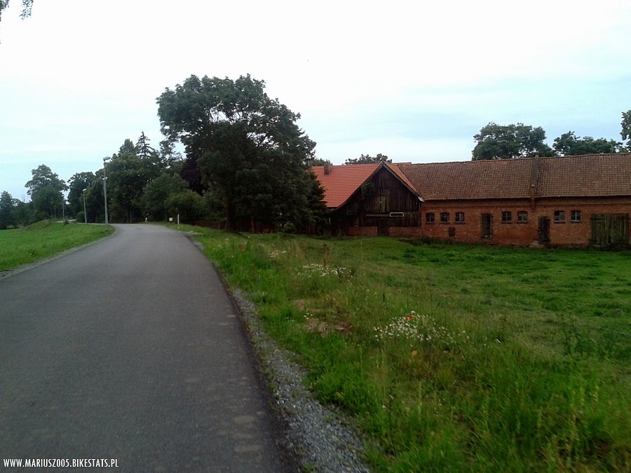 Bez tytułu