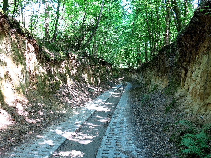 Piękny wąwóz - Bochotnica