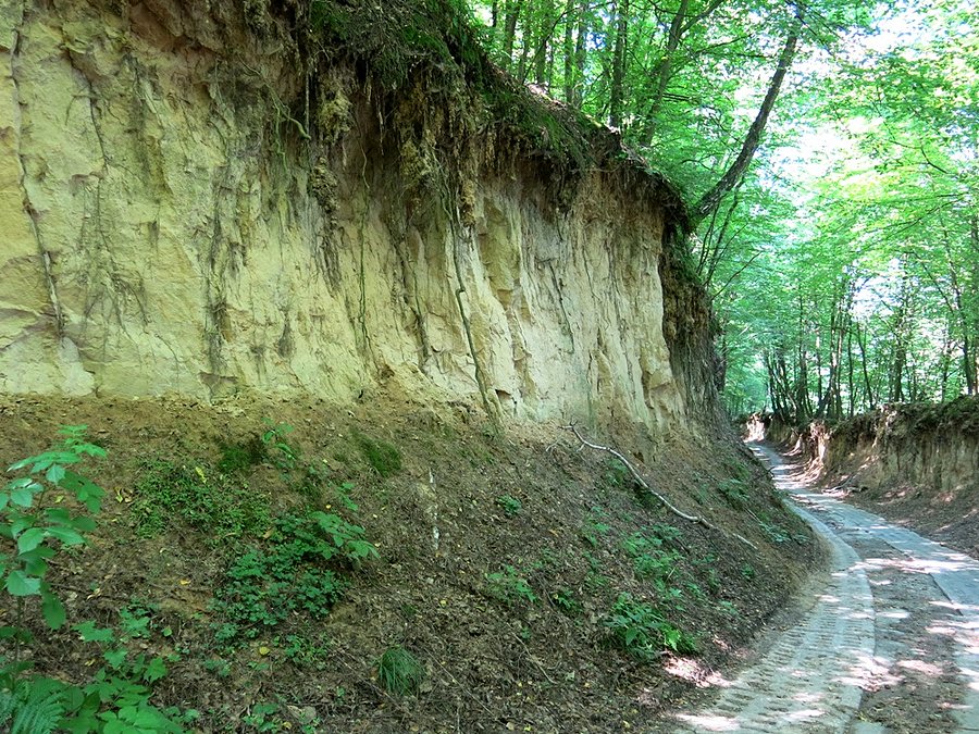 Wąwóz - Bochotnica