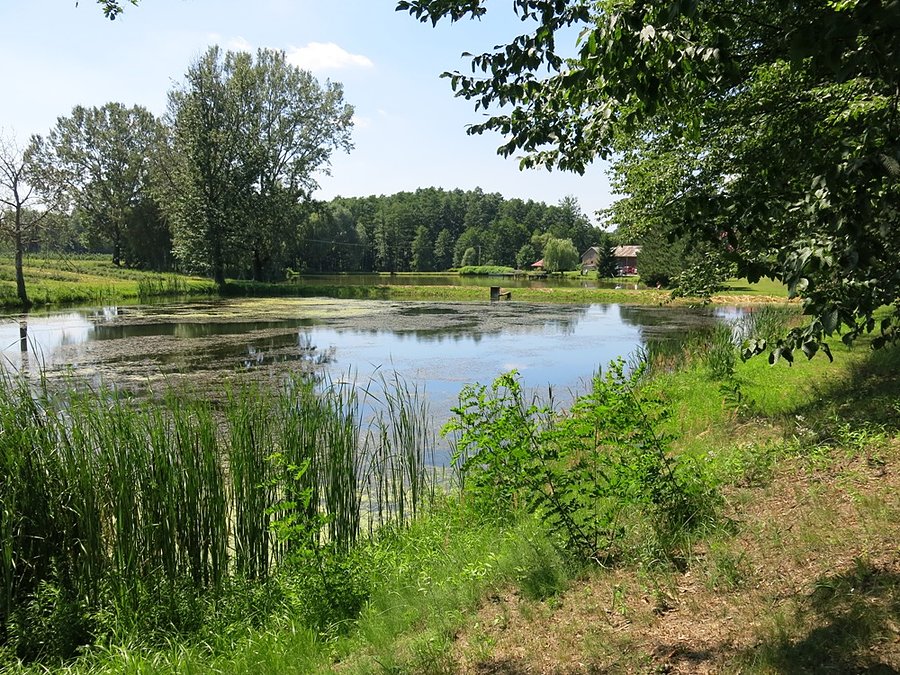 W Dolinie Stawów koło Łopatek