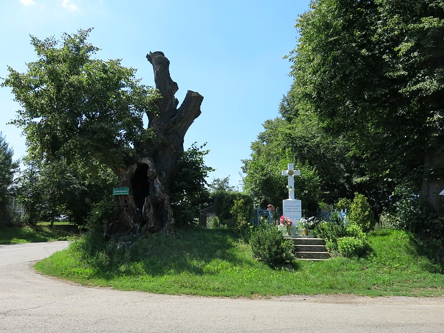 W Drzewcach